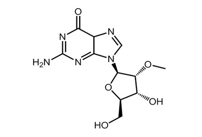 2'-O-Methyl Guanosine, ≥99%