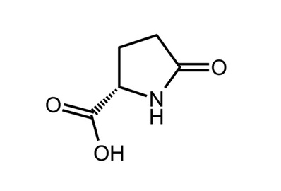 L-Pyroglutamic acid, ≥99%