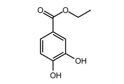 Protocatechuic acid ethyl ester, ≥99%