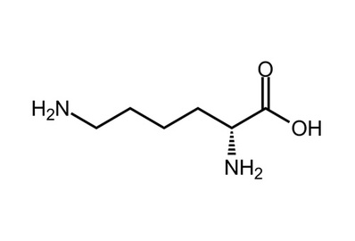 D-Lysine, ≥99%