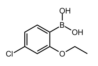 4-Chloro-2-ethoxyphenylboronic acid, ≥98%