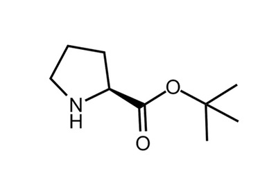 L-Proline t-butyl ester, ≥98%