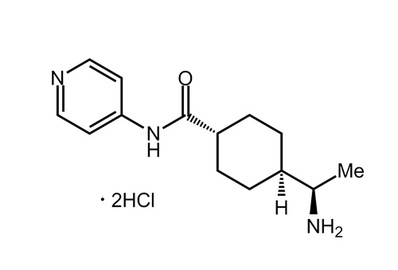 Y-27632 dihydrochloride, ≥98%