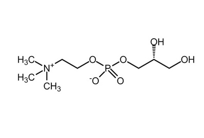 sn-Glycero-3-phosphocholine, ≥99%