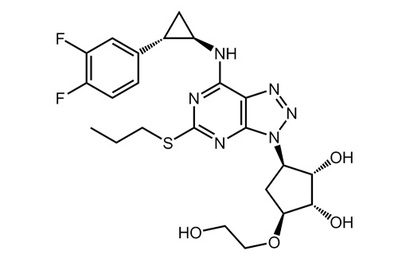 Ticagrelor, ≥98%