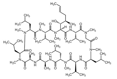 Cyclosporin D, ≥95%