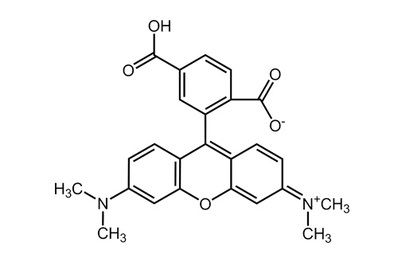 6-Carboxytetramethylrhodamine, ≥99%