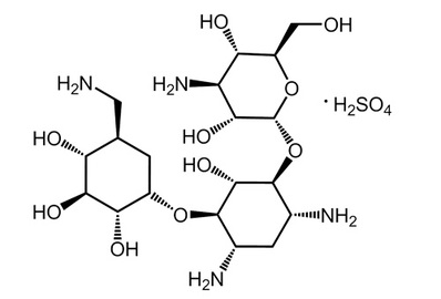 Kanamycin sulfate, ≥750 IU/mg