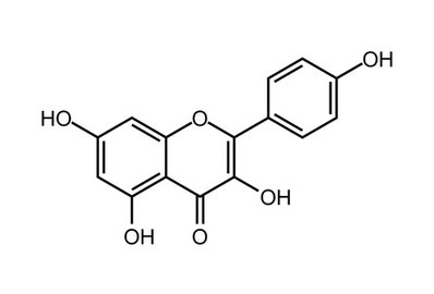 Kaempferol, ≥98%